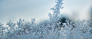 Preview wallpaper pattern, frost, glass, surface, macro