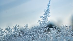 Preview wallpaper pattern, frost, glass, surface, macro