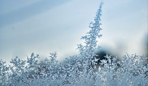 Preview wallpaper pattern, frost, glass, surface, macro