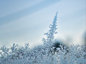 Preview wallpaper pattern, frost, glass, surface, macro