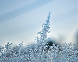 Preview wallpaper pattern, frost, glass, surface, macro