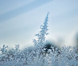 Preview wallpaper pattern, frost, glass, surface, macro