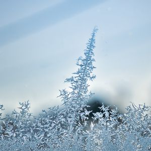 Preview wallpaper pattern, frost, glass, surface, macro