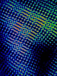 Preview wallpaper pattern, shapes, dots, background