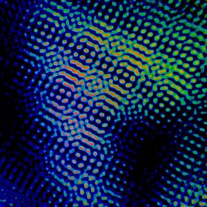Preview wallpaper pattern, shapes, dots, background