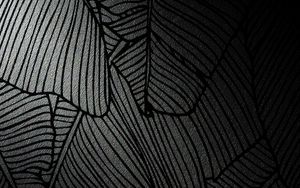 Preview wallpaper pattern, stripes, texture, black