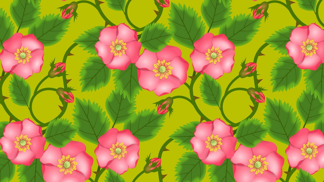 Wallpaper patterns, flowers, pink, green