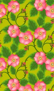 Preview wallpaper patterns, flowers, pink, green