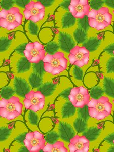 Preview wallpaper patterns, flowers, pink, green