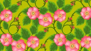 Preview wallpaper patterns, flowers, pink, green