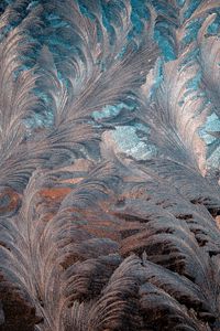 Preview wallpaper patterns, frosty pattern, glass, frost, ice