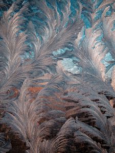 Preview wallpaper patterns, frosty pattern, glass, frost, ice