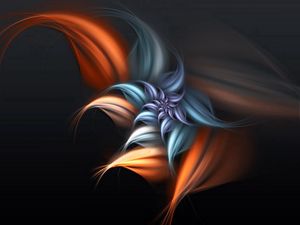 Preview wallpaper patterns, rotation, fractal, colorful