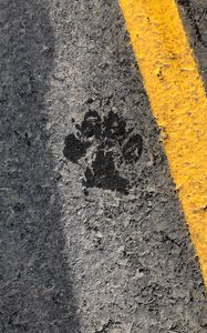 Preview wallpaper paw, footprint, asphalt, texture, strip