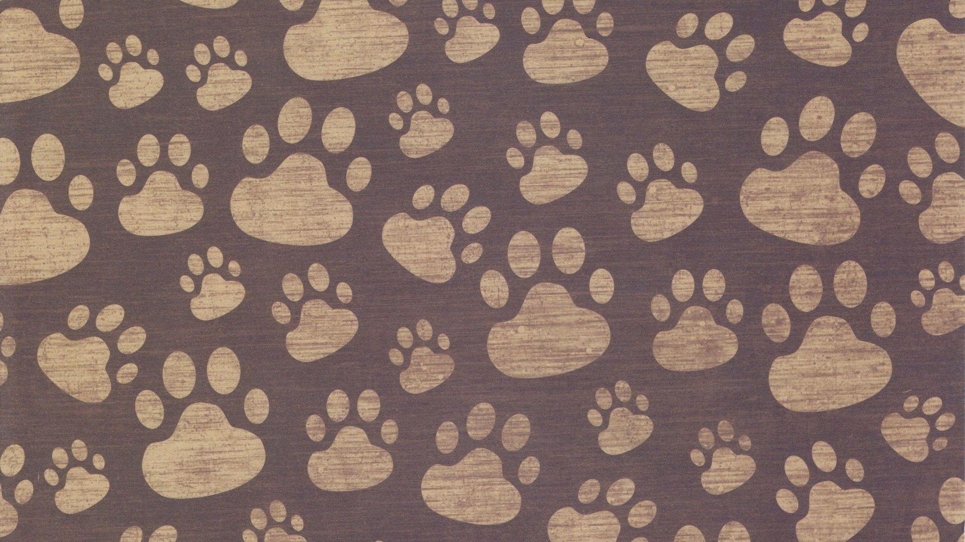 Download wallpaper 1920x1080 paw, print, background, surface, pattern full  hd, hdtv, fhd, 1080p hd background