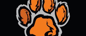 Preview wallpaper paw, trace, imprint, minimalism