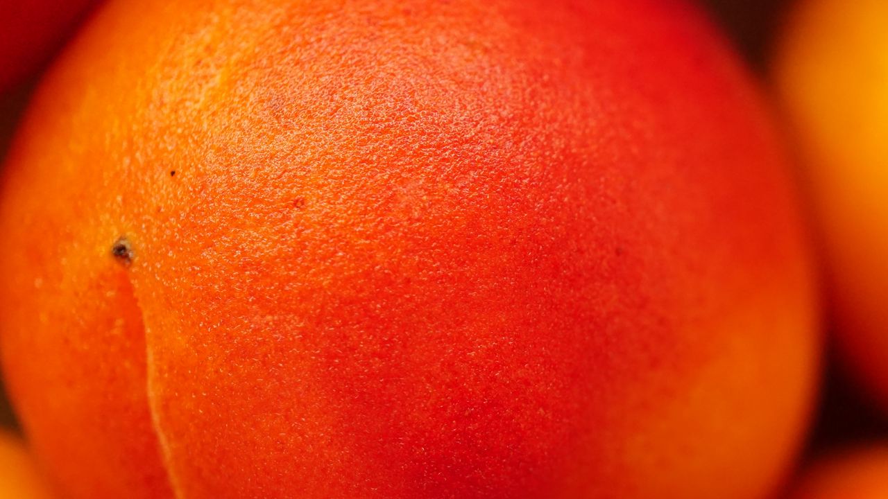 Wallpaper peach, fruit, orange, macro