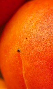 Preview wallpaper peach, fruit, orange, macro