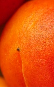 Preview wallpaper peach, fruit, orange, macro