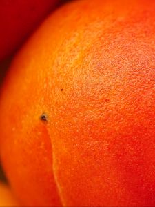 Preview wallpaper peach, fruit, orange, macro