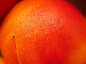 Preview wallpaper peach, fruit, orange, macro