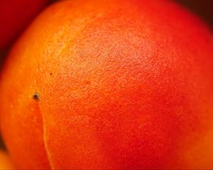 Preview wallpaper peach, fruit, orange, macro