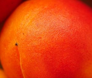 Preview wallpaper peach, fruit, orange, macro