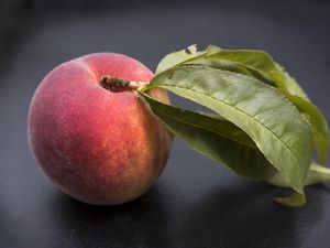 Preview wallpaper peach, fruit, ripe, leaves