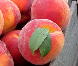 Preview wallpaper peach, leaves, fruit