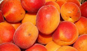 Preview wallpaper peaches, apricots, ripe, tasty, fruit