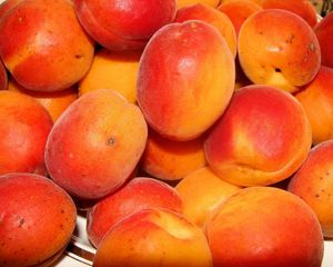 Preview wallpaper peaches, apricots, ripe, tasty, fruit