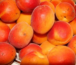 Preview wallpaper peaches, apricots, ripe, tasty, fruit
