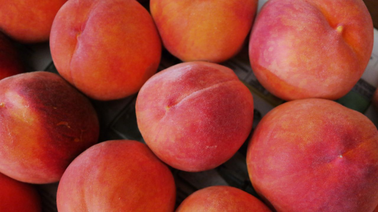 Wallpaper peaches, fruit, ripe
