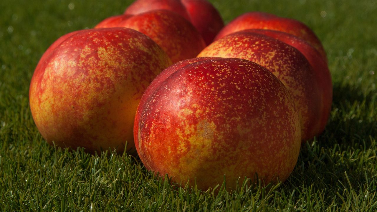 Wallpaper peaches, fruit, ripe