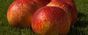 Preview wallpaper peaches, fruit, ripe