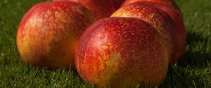 Preview wallpaper peaches, fruit, ripe