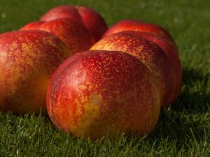 Preview wallpaper peaches, fruit, ripe