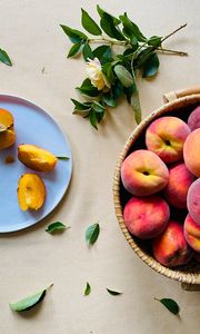 Preview wallpaper peaches, fruit, slices, rose, cloth