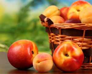 Preview wallpaper peaches, nectarines, apricots, fruit, basket