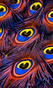 Preview wallpaper peacock feathers, feathers, texture