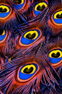 Preview wallpaper peacock feathers, feathers, texture