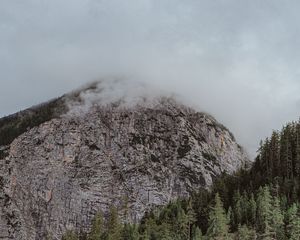 Preview wallpaper peak, mountain, fog, stone, trees