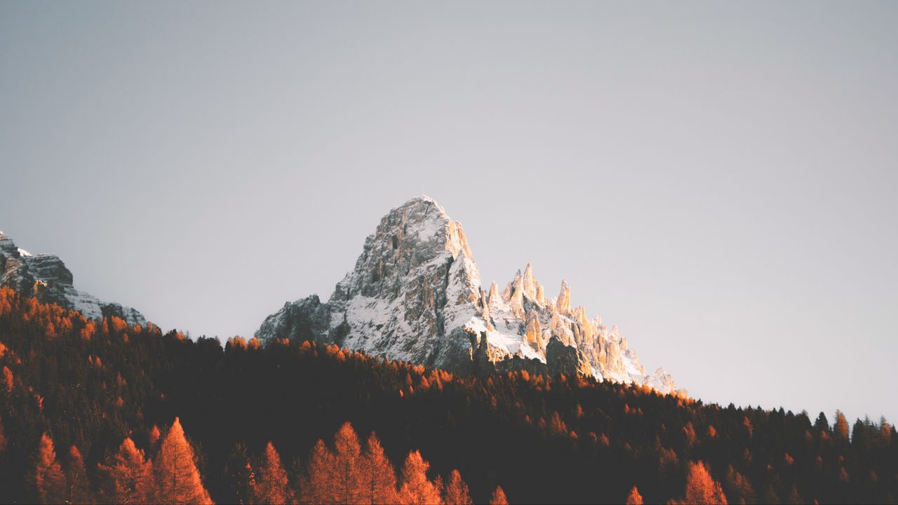 Wallpaper peak, rock, trees, forest, snow