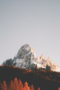 Preview wallpaper peak, rock, trees, forest, snow