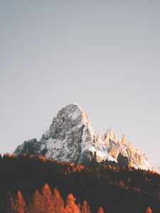 Preview wallpaper peak, rock, trees, forest, snow