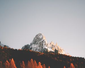 Preview wallpaper peak, rock, trees, forest, snow