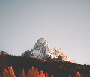 Preview wallpaper peak, rock, trees, forest, snow