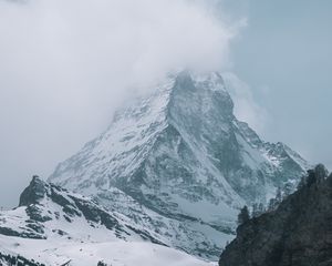 Preview wallpaper peak, rocks, trees, snow, snowy