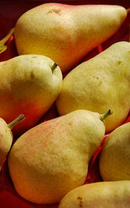 Preview wallpaper pears, fruit, food