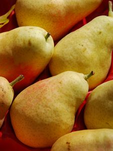 Preview wallpaper pears, fruit, food